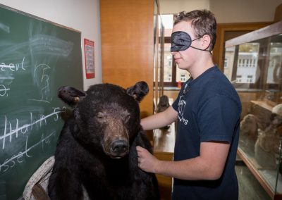 Teilnehmer beim Betasten eines Bären