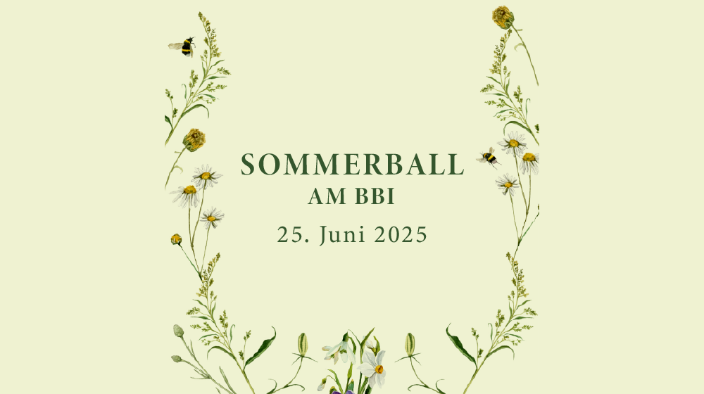 Sommerball 2025 Banner